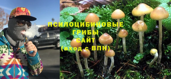 дурь Алзамай