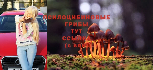 дурь Алзамай