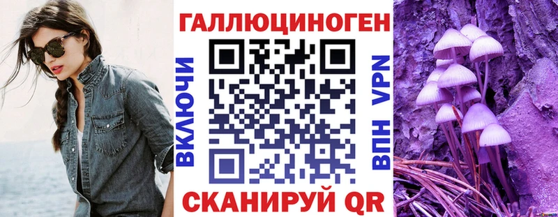 магазин  наркотиков  blacksprut зеркало  Псилоцибиновые грибы Psilocybine cubensis  Аргун 