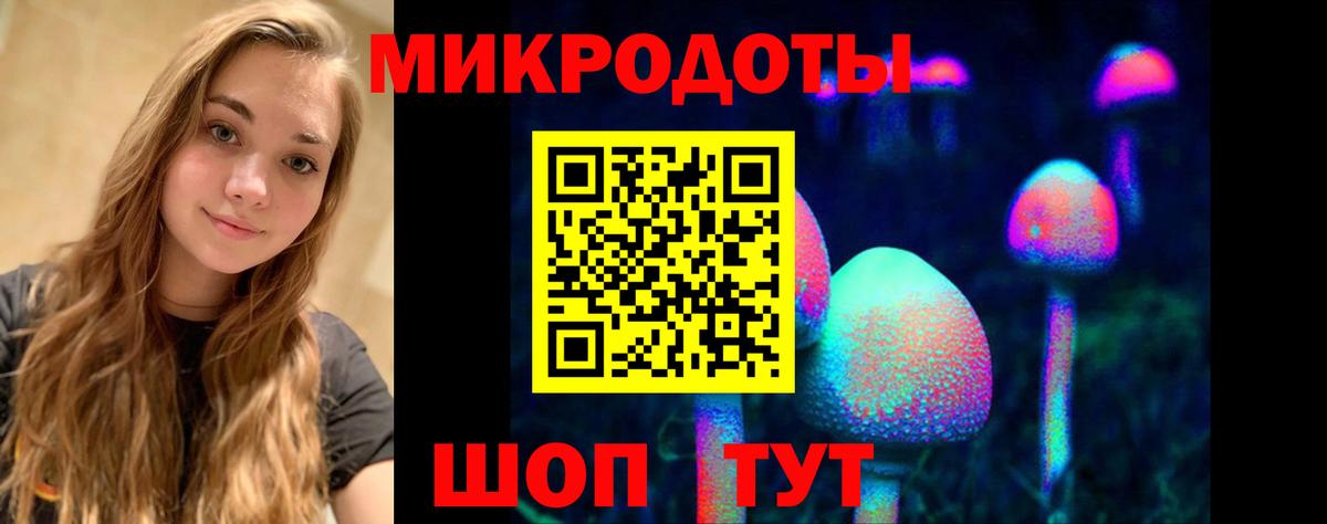 Галлюциногенные грибы MAGIC MUSHROOMS  сколько стоит  Аргун  Вход с VPN 